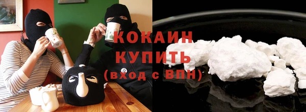 шишки Алексин