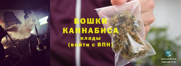 шишки Алексин
