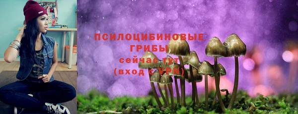 шишки Алексин